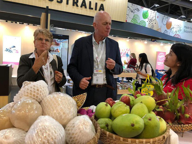 越南-中国-台湾-香港-国际专线 | 空运的速度，陆运的价格优惠中‎