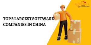Top 5 Largest Software Companies in China