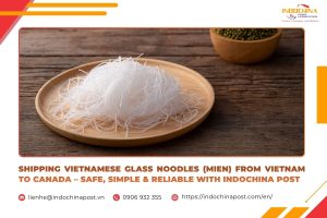 Shipping Vietnamese Glass Noodles (Mien) From Vietnam to Canada – Safe, Simple & Reliable With Indochina Post