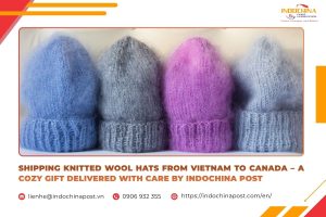 Shipping Knitted Wool Hats from Vietnam to Canada – A Cozy Gift Delivered with Care by Indochina Post
