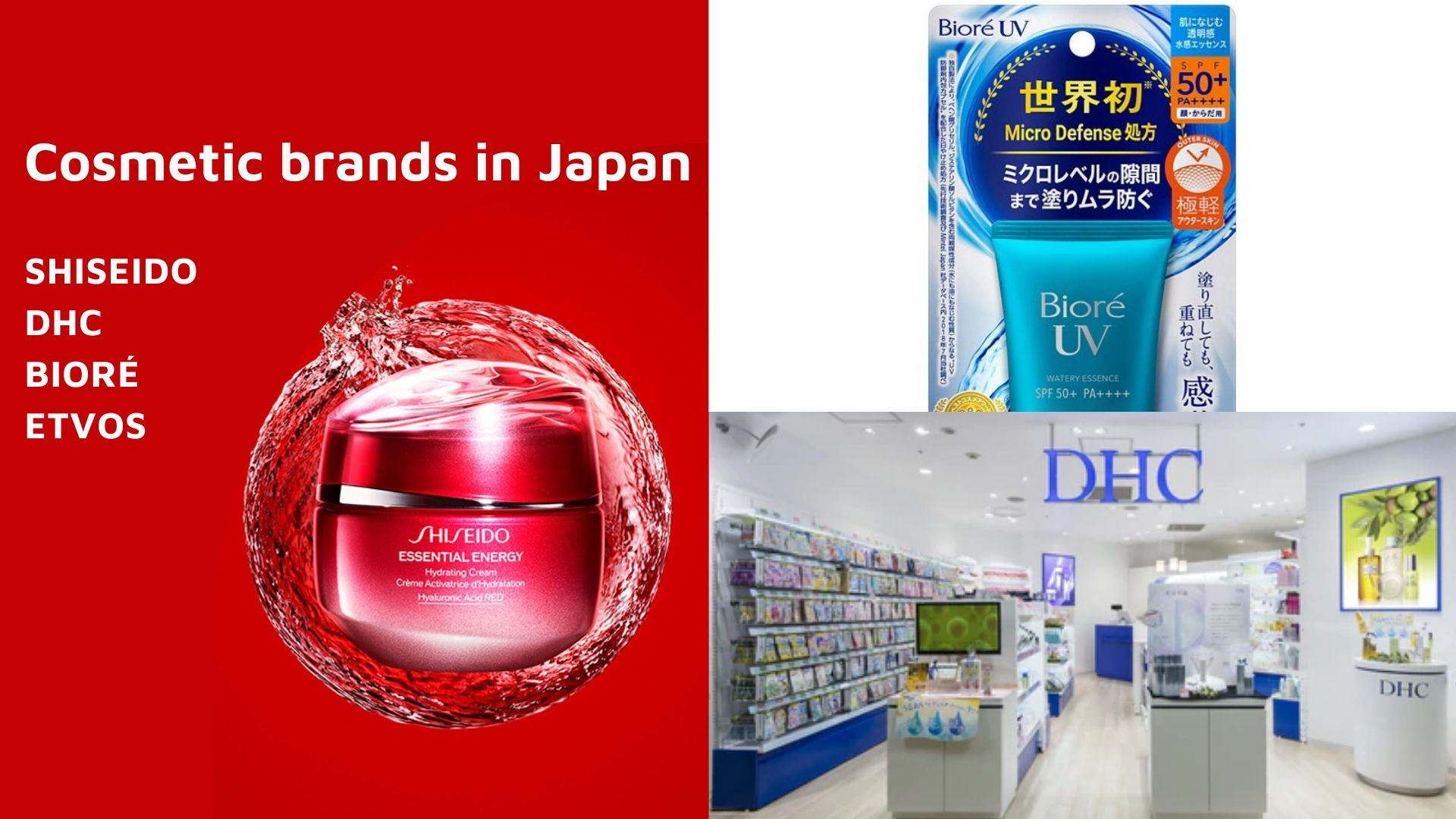 E The leading Logistics and Cargo in Asia E