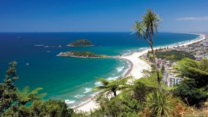 Delivery from Whakatane District – New Zealand to Vietnam cheapest and fastest