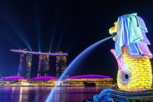 Cargo Shipping Services from Vietnam to Singapore – Fast, Reliable, and Cost-Effective
