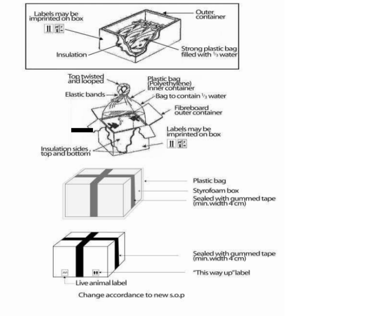 The leading Logistics and Cargo in Asia