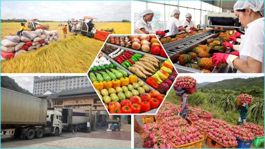 Agricultural Sector in Vietnam