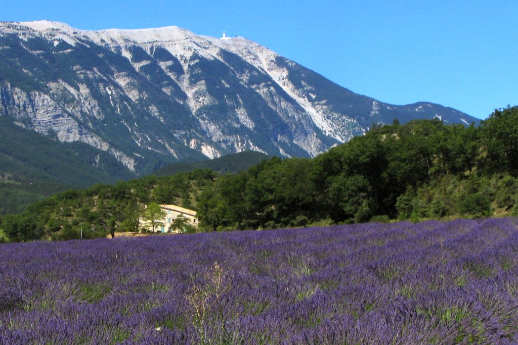 La Provence – Terre de lumière, de lavande et de patrimoine