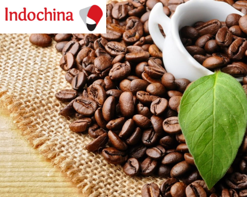 Transport de café vers l’Allemagne rapide et fiable avec Indochina Post Logistics