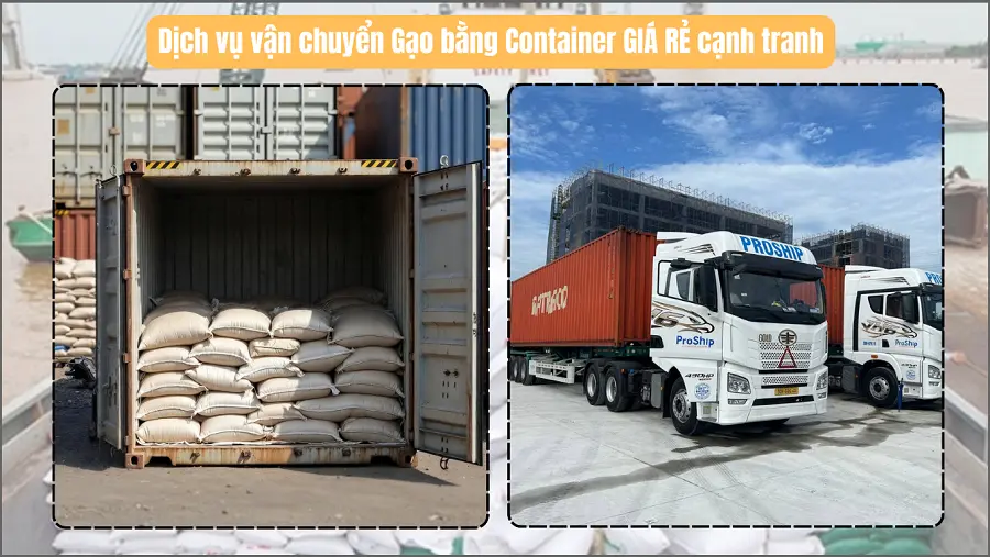 Transport de riz vers l’Italie rapide et sécurisé avec Indochina Post Logistics