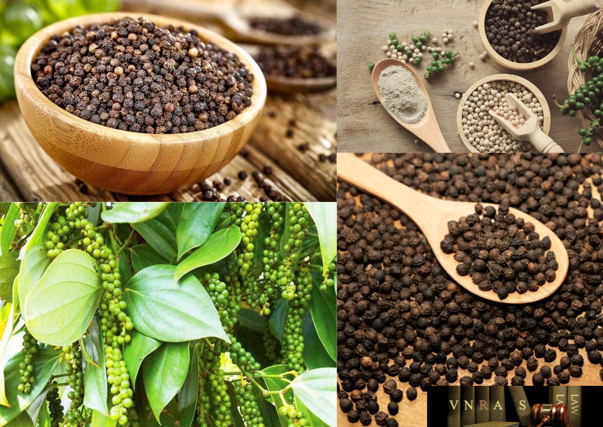 Transport de poivre vers la France par voie ferroviaire avec Indochina Post : solution logistique efficace et économique