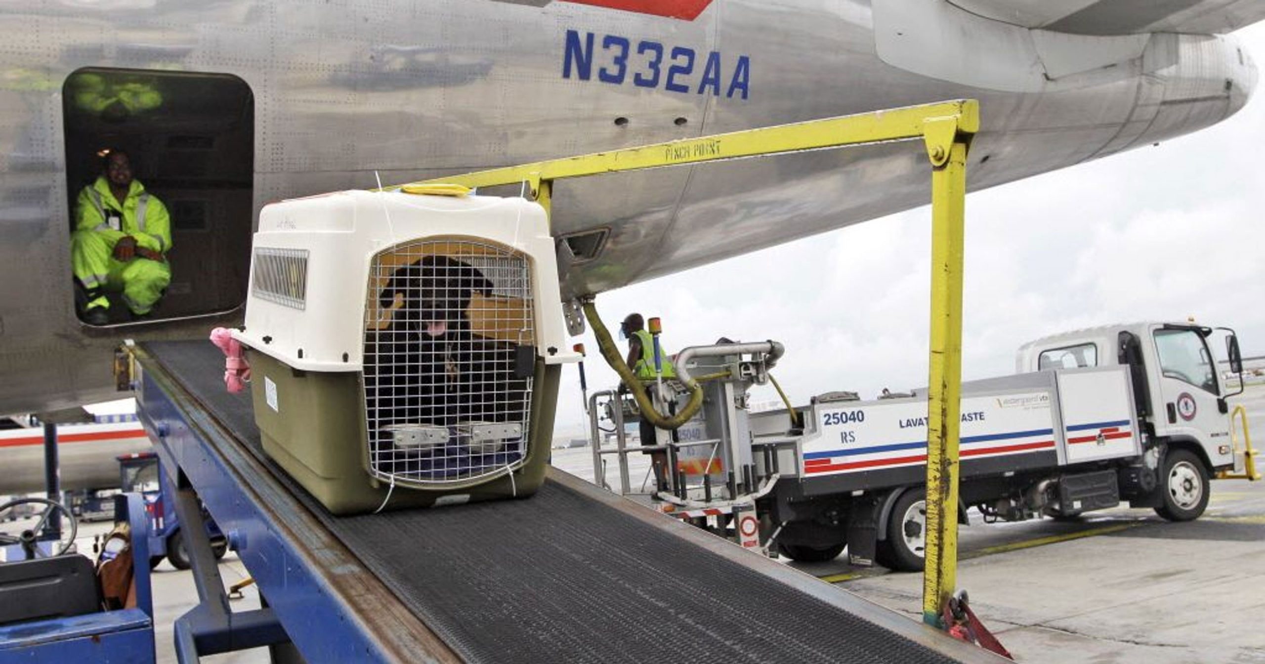 Transport Animaux Vivants Fret Aérien : Guide IATA LAR Transport Animaux Vivants Fret Aérien : Guide IATA LAR