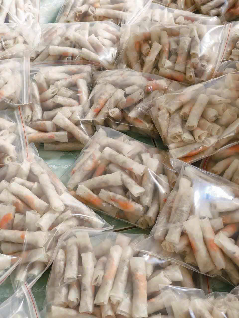 Envoyer des nems surgelés en Europe : conditions et conseils