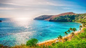 Booking tải hàng không từ Hà Nội đi Hawaii, Mỹ siêu tốc