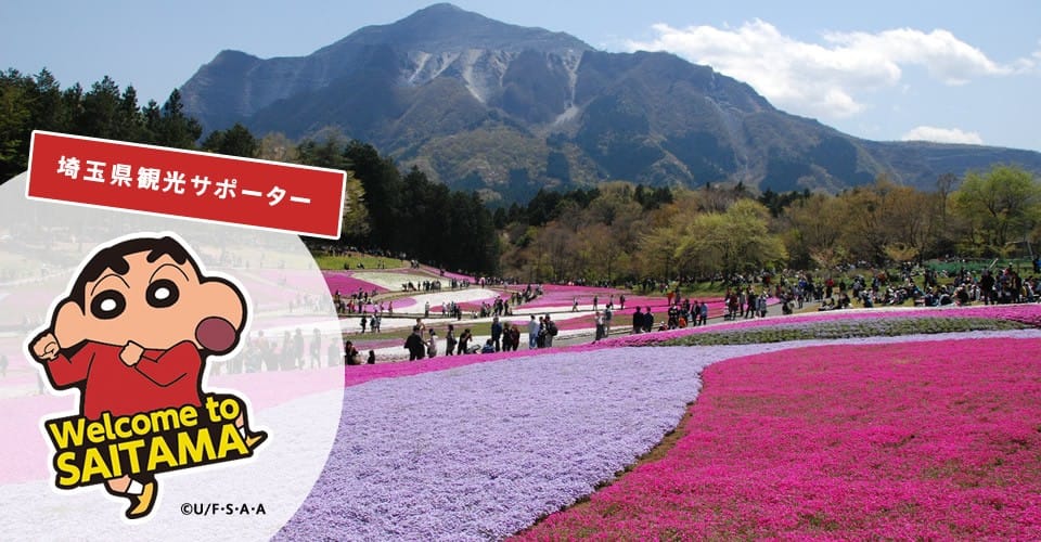 Dịch vụ chuyển phát nhanh từ Saitama – Nhật Bản về Hà Nội nhanh chóng, giá rẻ Dịch vụ chuyển phát nhanh từ Saitama – Nhật Bản về Hà Nội nhanh chóng, giá rẻ