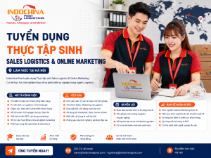 thực tập sinh sales logistics