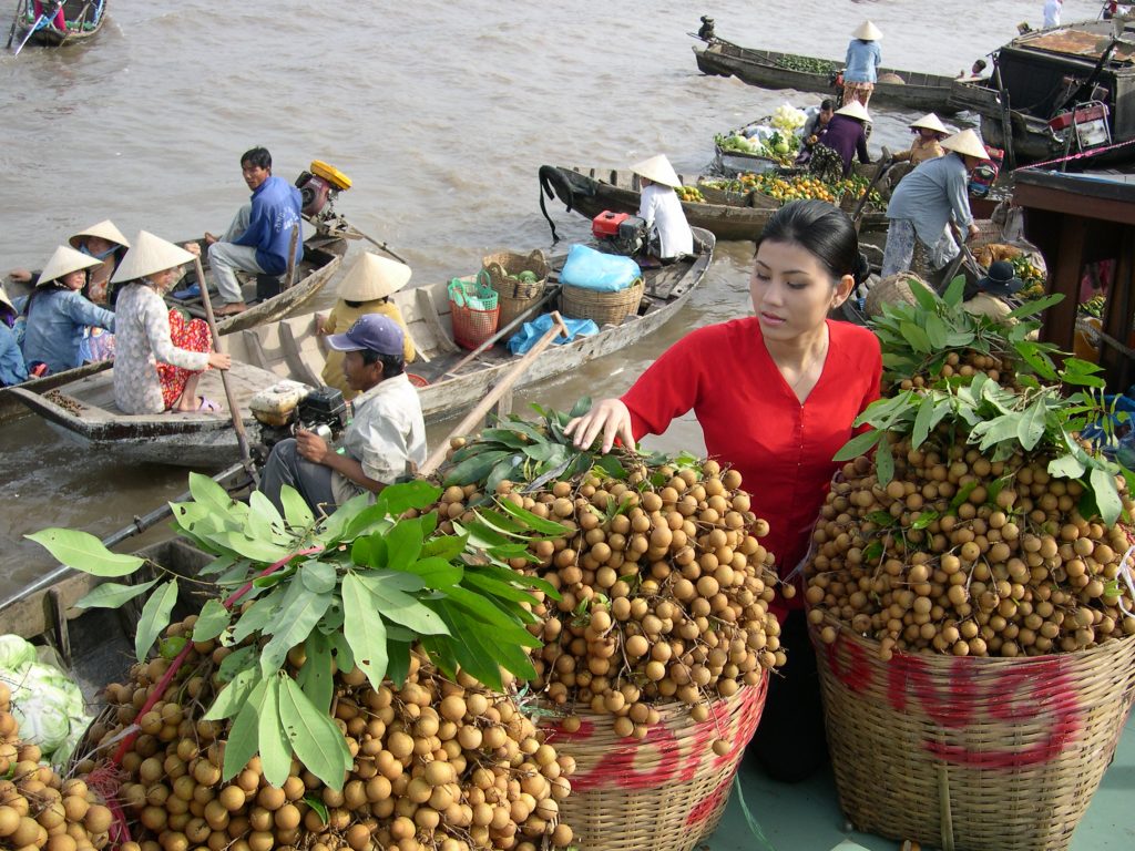 Chành xe vận chuyển hàng đi Cần Thơ từ Sài Gòn