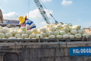 Giải pháp chuỗi cung ứng lạnh cho trái cây xuất khẩu sang thị trường Bắc Âu