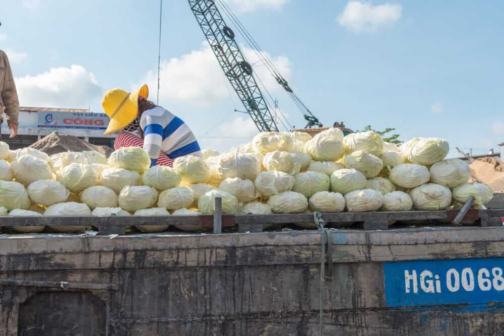 Giải pháp chuỗi cung ứng lạnh cho trái cây xuất khẩu sang thị trường Bắc Âu