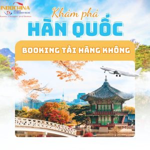 Booking tải hàng không từ Cầu Giấy đi Hàn Quốc