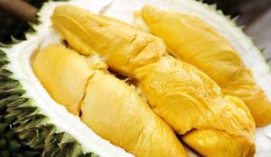 gửi sầu riêng