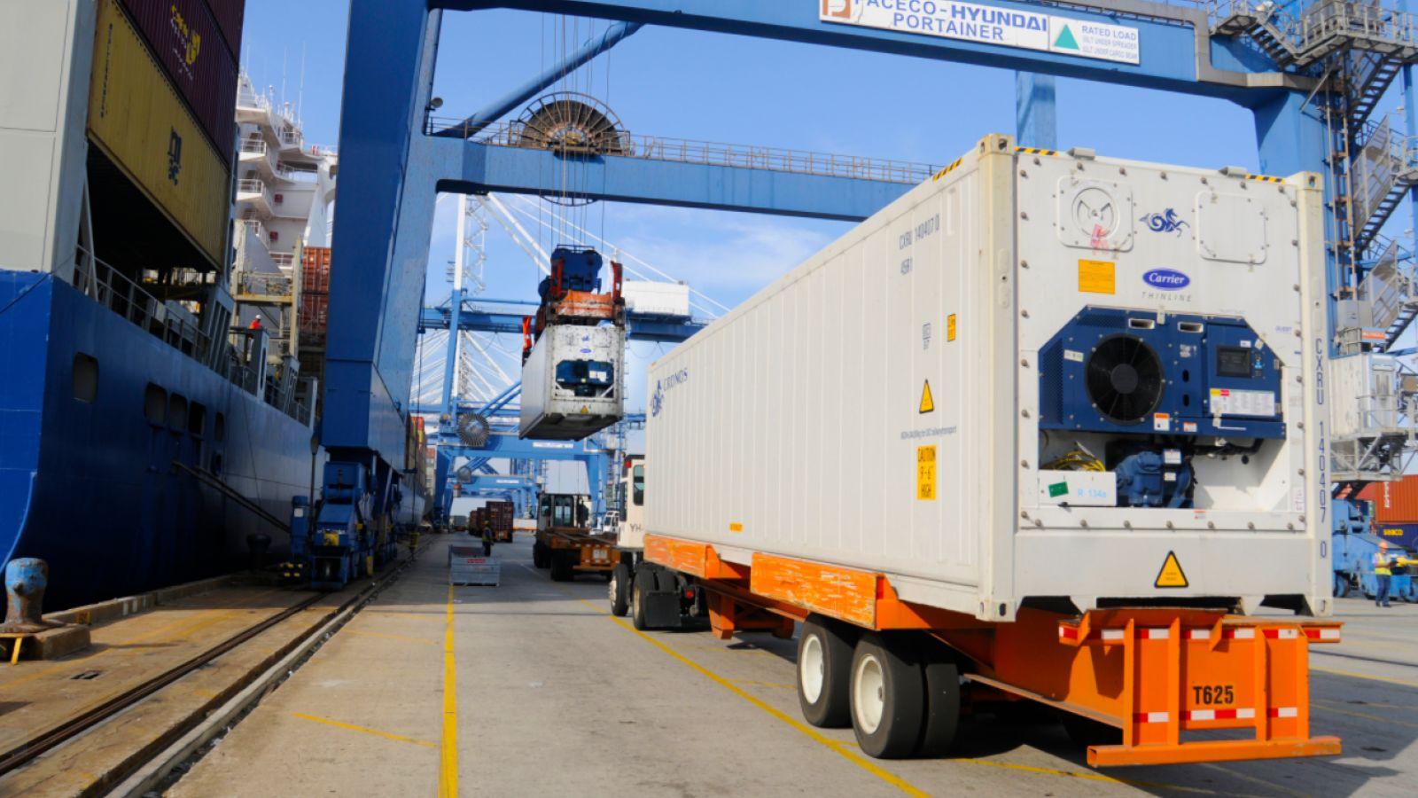 Container lạnh tiếp tục giữ vai trò quan trọng trong xuất khẩu nông sản toàn cầu