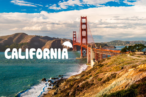 Booking tải hàng không từ Hà Nội đi California