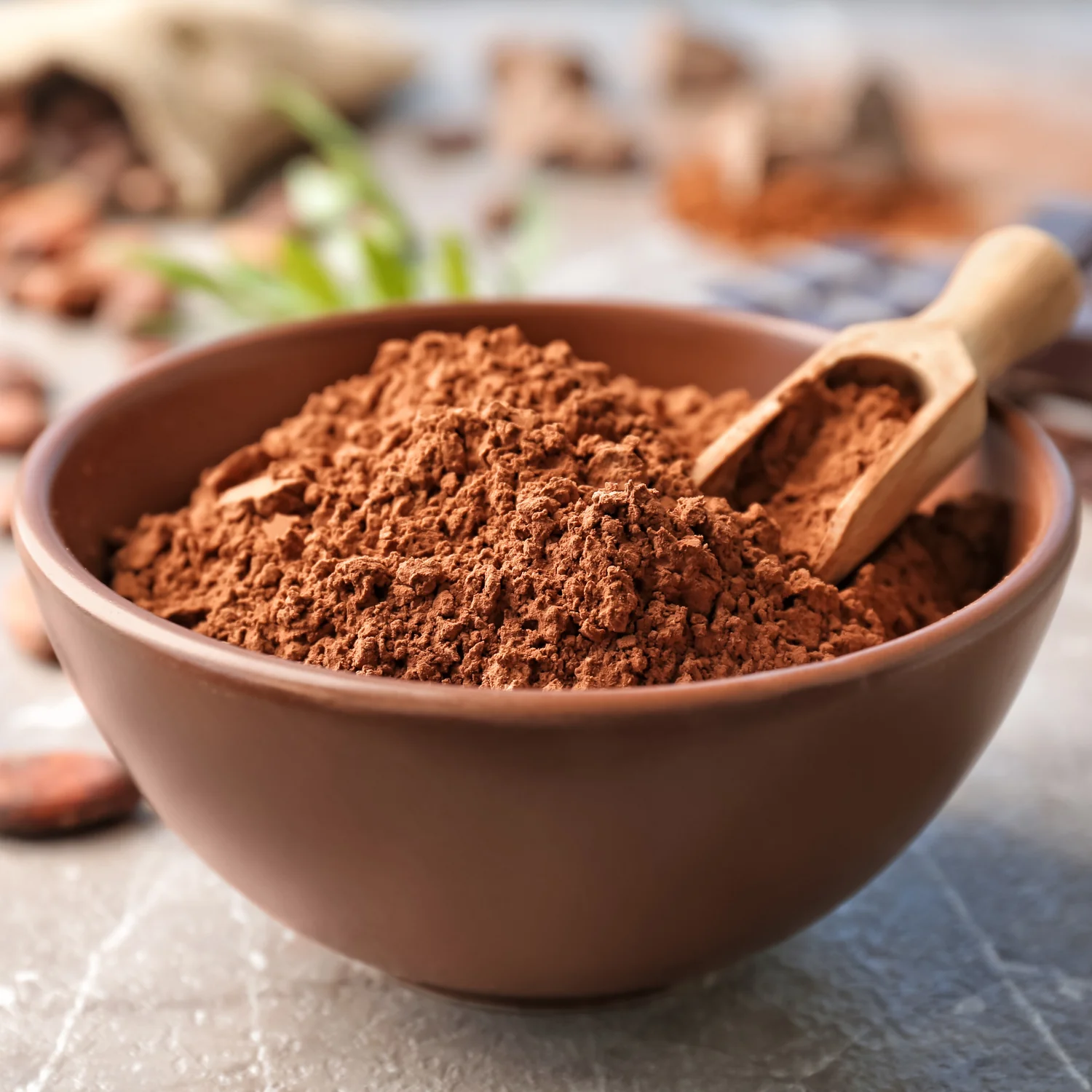 Dịch Vụ Vận Chuyển Bột Cacao Từ Đắk Lắk Về Hà Nội