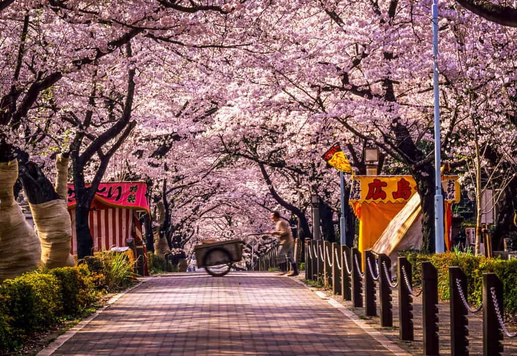 Gửi hàng đến Tokyo Osaka giá rẻ, uy tín