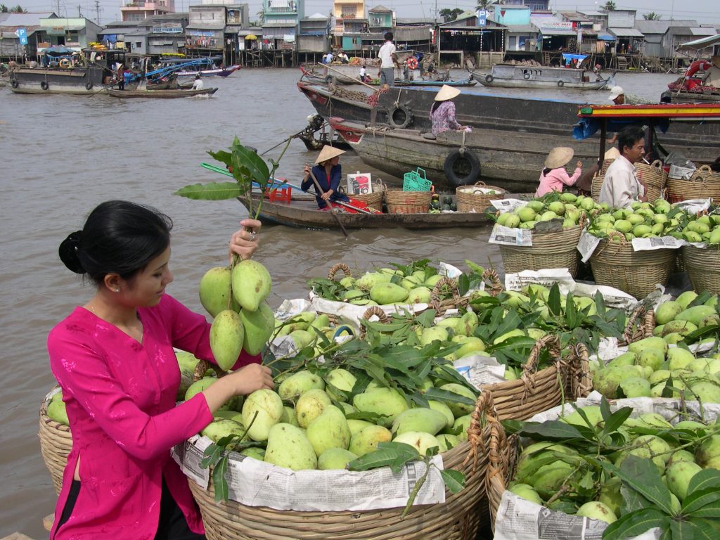 vận tải đường bộ từ thanh hóa đi cần thơ