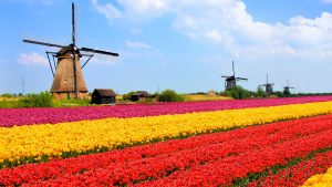 Dịch vụ vận chuyển đường biển đi Netherlands