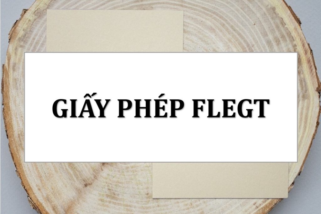 giay-phep-flegt-2