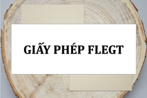 giay-phep-flegt-2