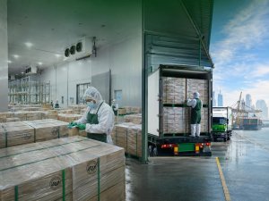 Nhu cầu kho lạnh tăng mạnh nhờ xuất khẩu thực phẩm và dược phẩm phục hồi