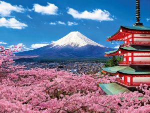 tài liệu đi Nhật Bản