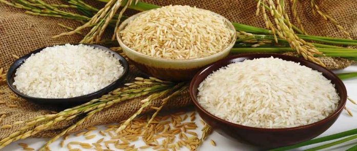 Tìm hiểu về giấy phép xuất khẩu gạo cùng Indochinapost