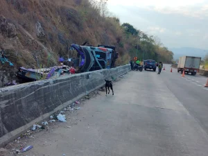 Tai nạn xe khách nghiêm trọng tại Thái Lan: 18 người thiệt mạng do mất phanh