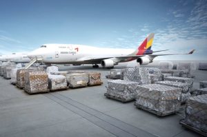 Vai Trò Của Cảng Hàng Không Trong Vận Tải Hàng Hóa Quốc Tế