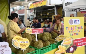 Thái Lan tịch thu hơn 200ha đất rừng bị nhà đầu tư Trung Quốc biến thành đồn điền sầu riêng