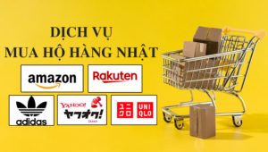 Dịch vụ mua hàng hộ từ Nhật Bản về Việt Nam giá rẻ, uy tín