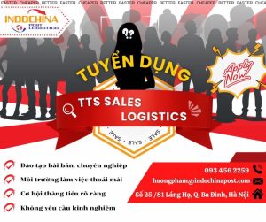 Tuyển thực tập sinh Sales Logistics